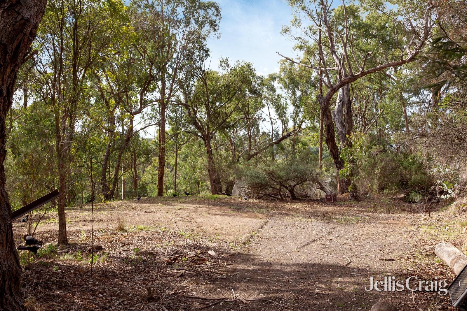 26 St Andrews Street, St&nbsp;Andrews image 17