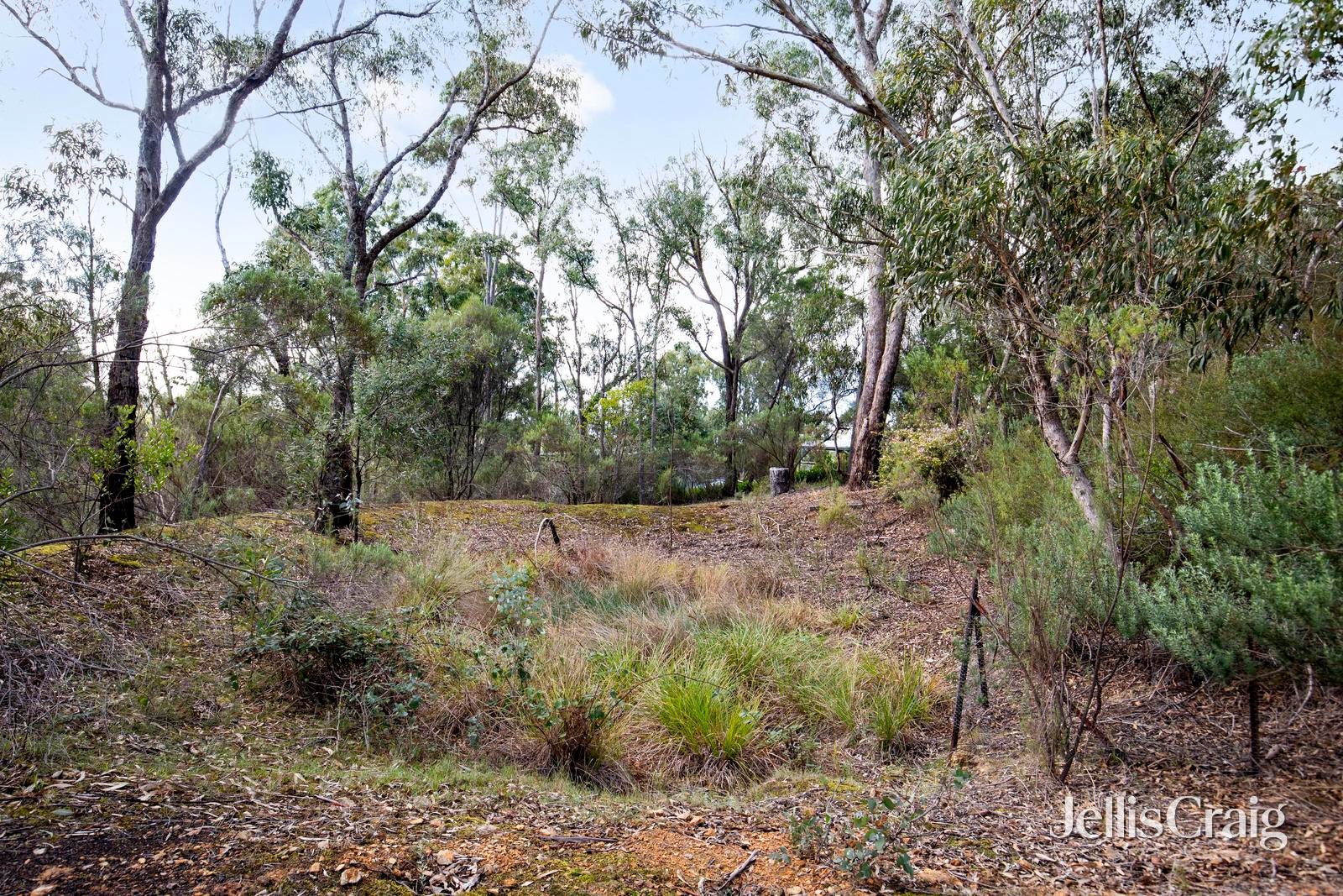 26 St Andrews Street, St&nbsp;Andrews image 18