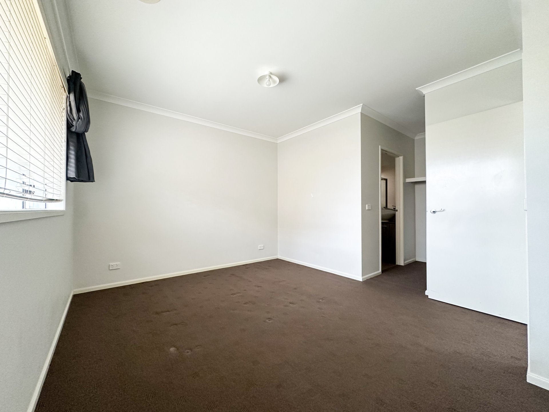 26 Stafford Street, Keysborough image 4