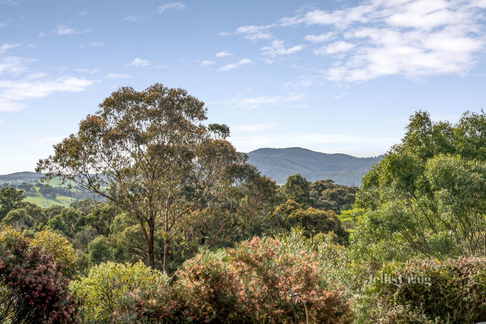 26 Thomas Road, Arthurs Creek image 16