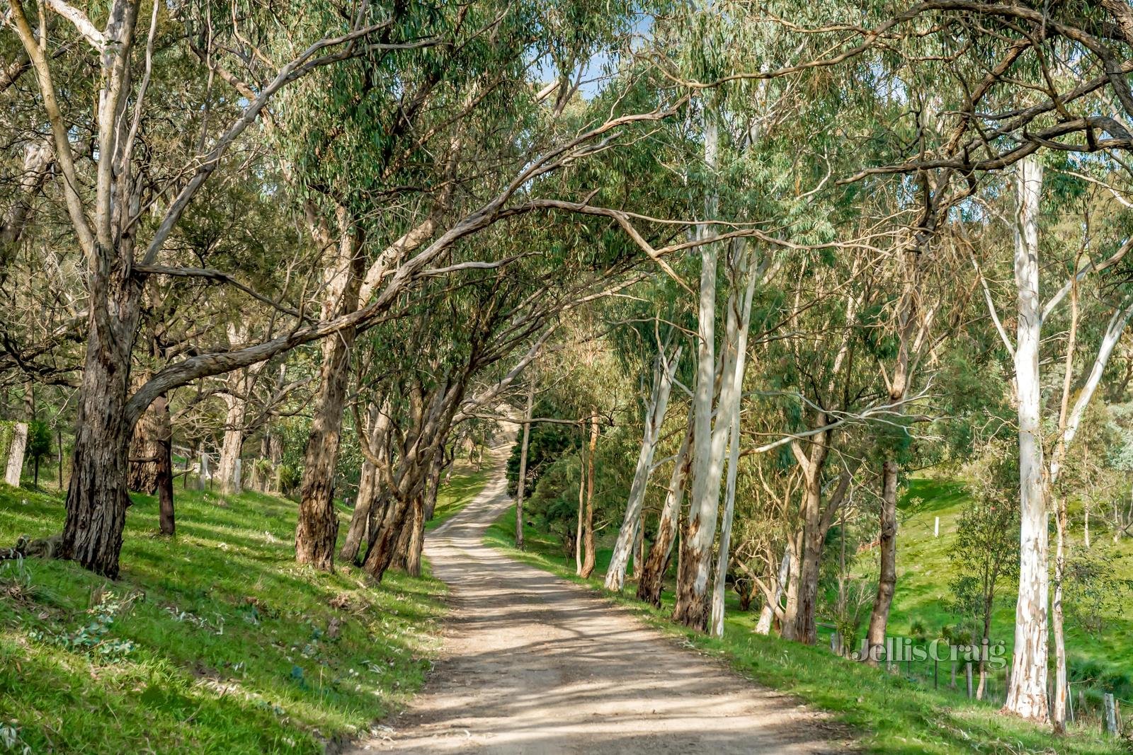 26 Thomas Road, Arthurs Creek image 18