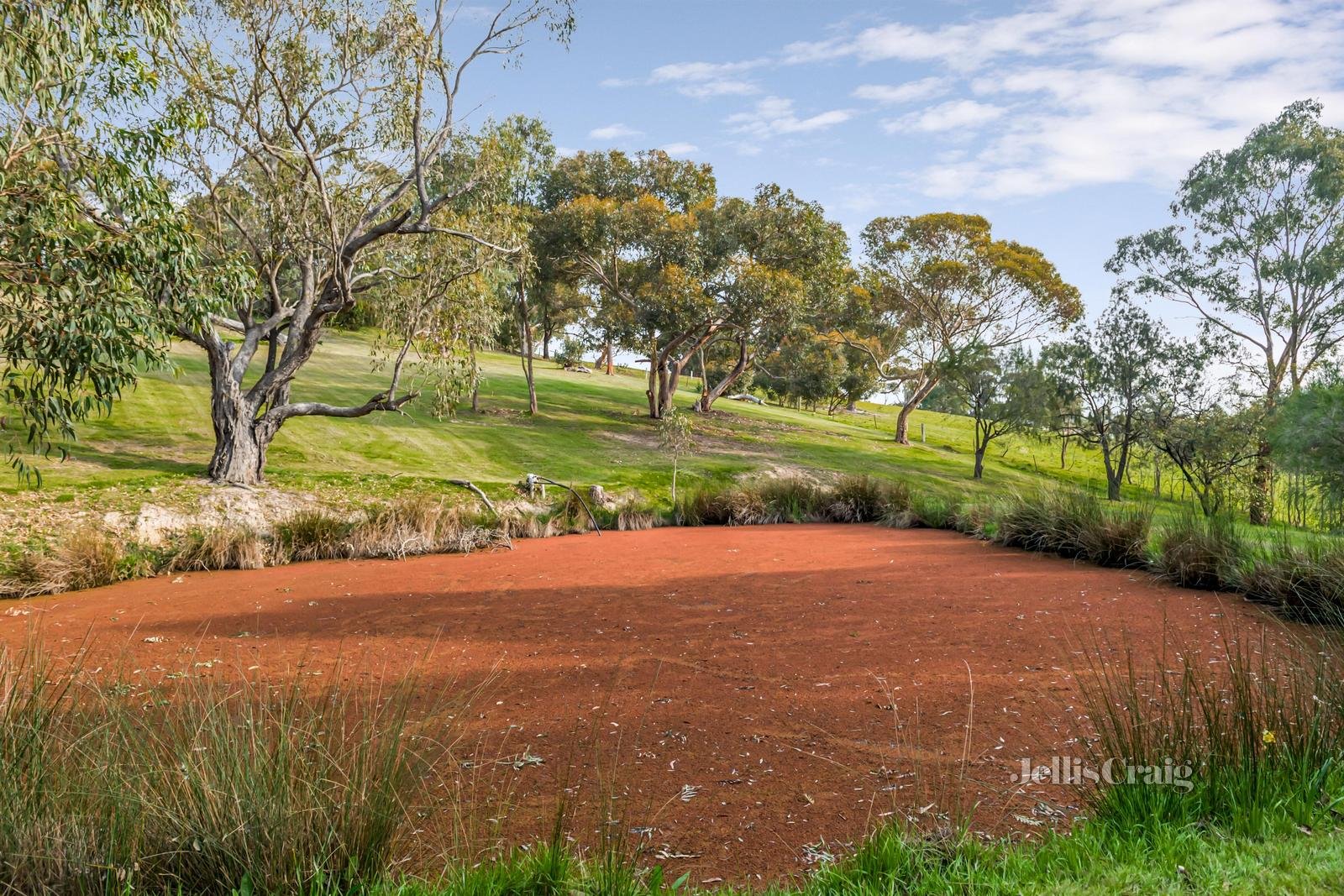 26 Thomas Road, Arthurs Creek image 29