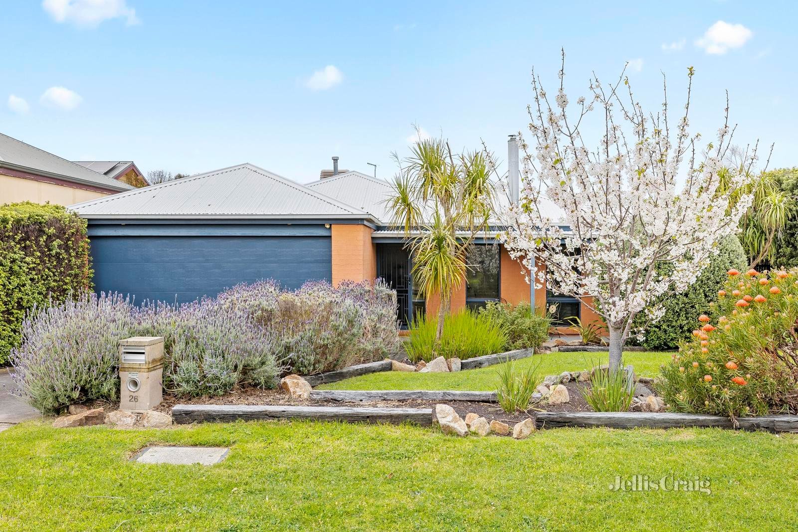 26 Tintagel Way, Mornington image 1