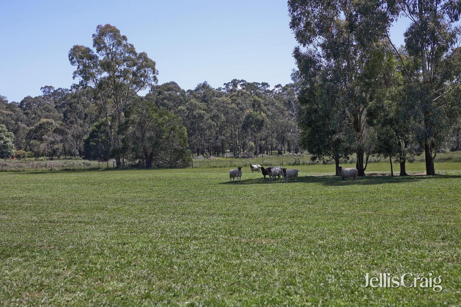 260 Healesville Koo Wee Rup Road, Healesville image 28