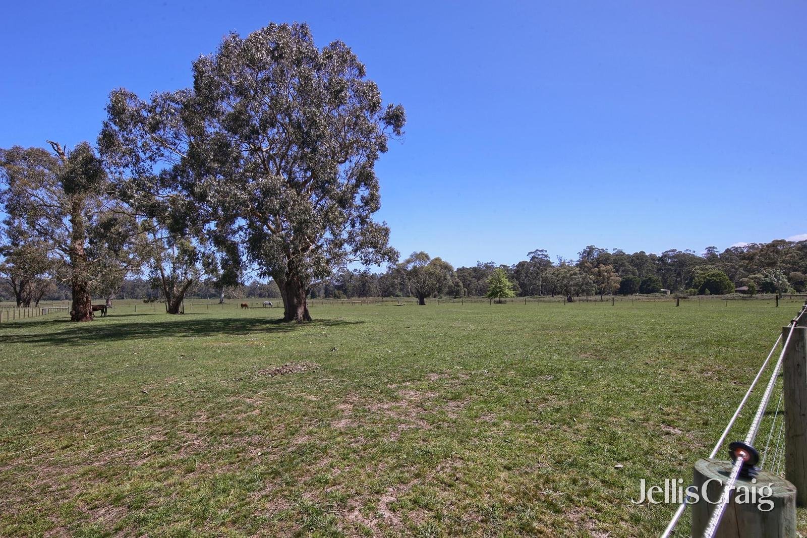 260 Healesville Koo Wee Rup Road, Healesville image 30