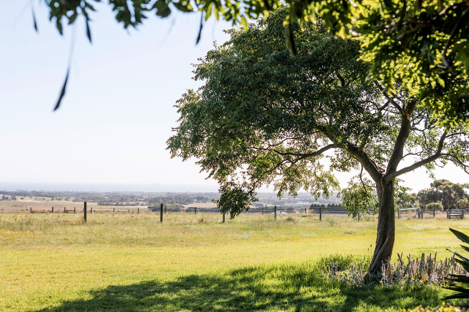 Property Gallery Thumbnail 20