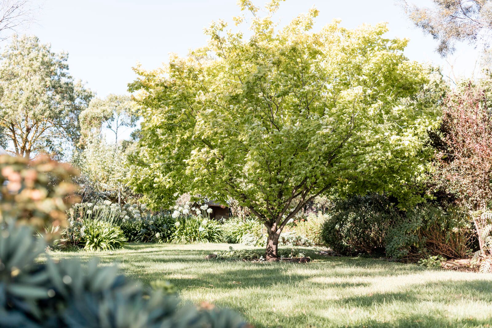 Property Gallery Thumbnail 21