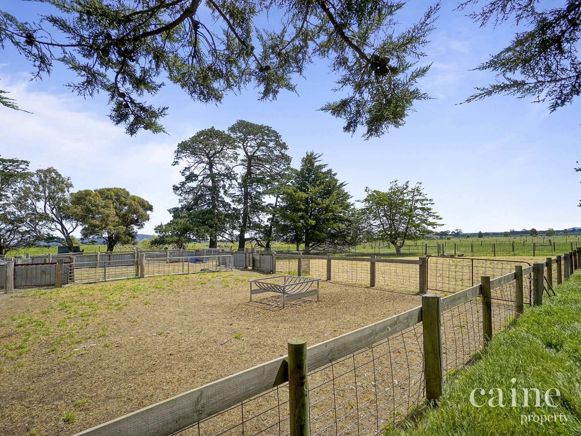265 Creswick Road, Clunes image 2