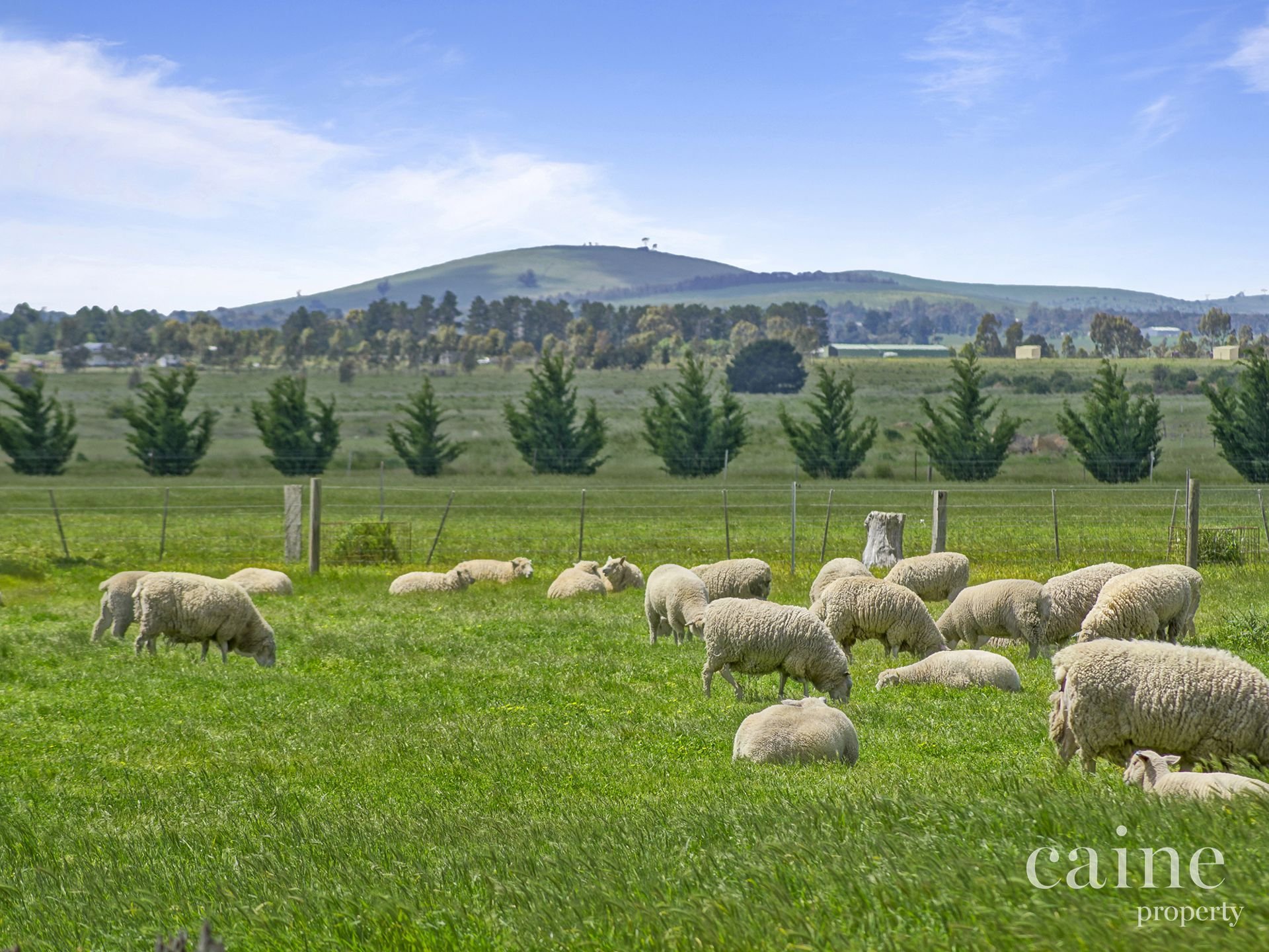 265 Creswick Road, Clunes image 3