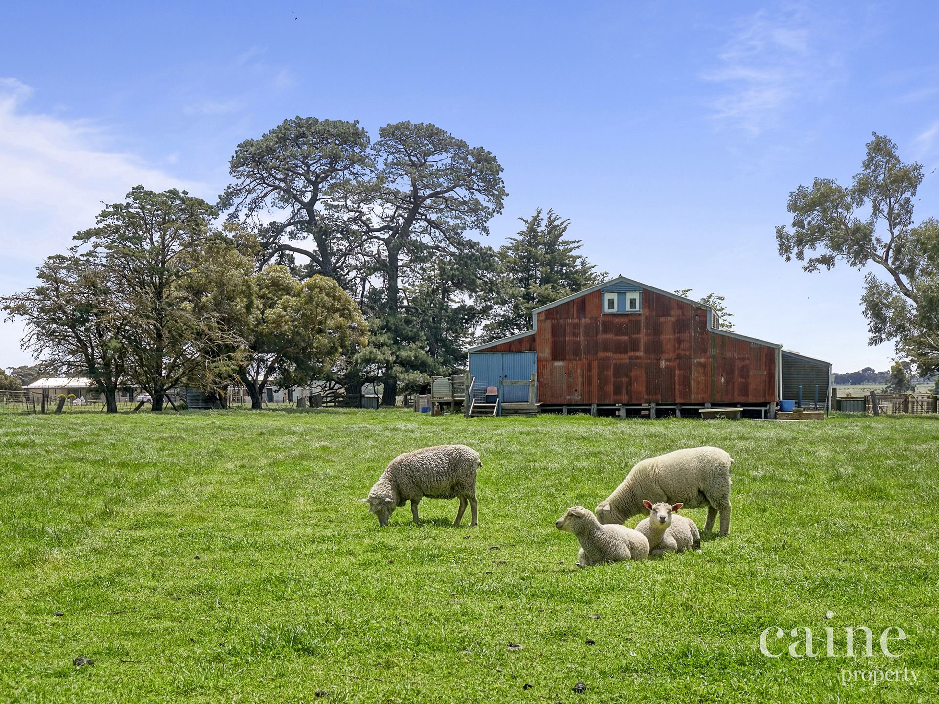 265 Creswick Road, Clunes image 8