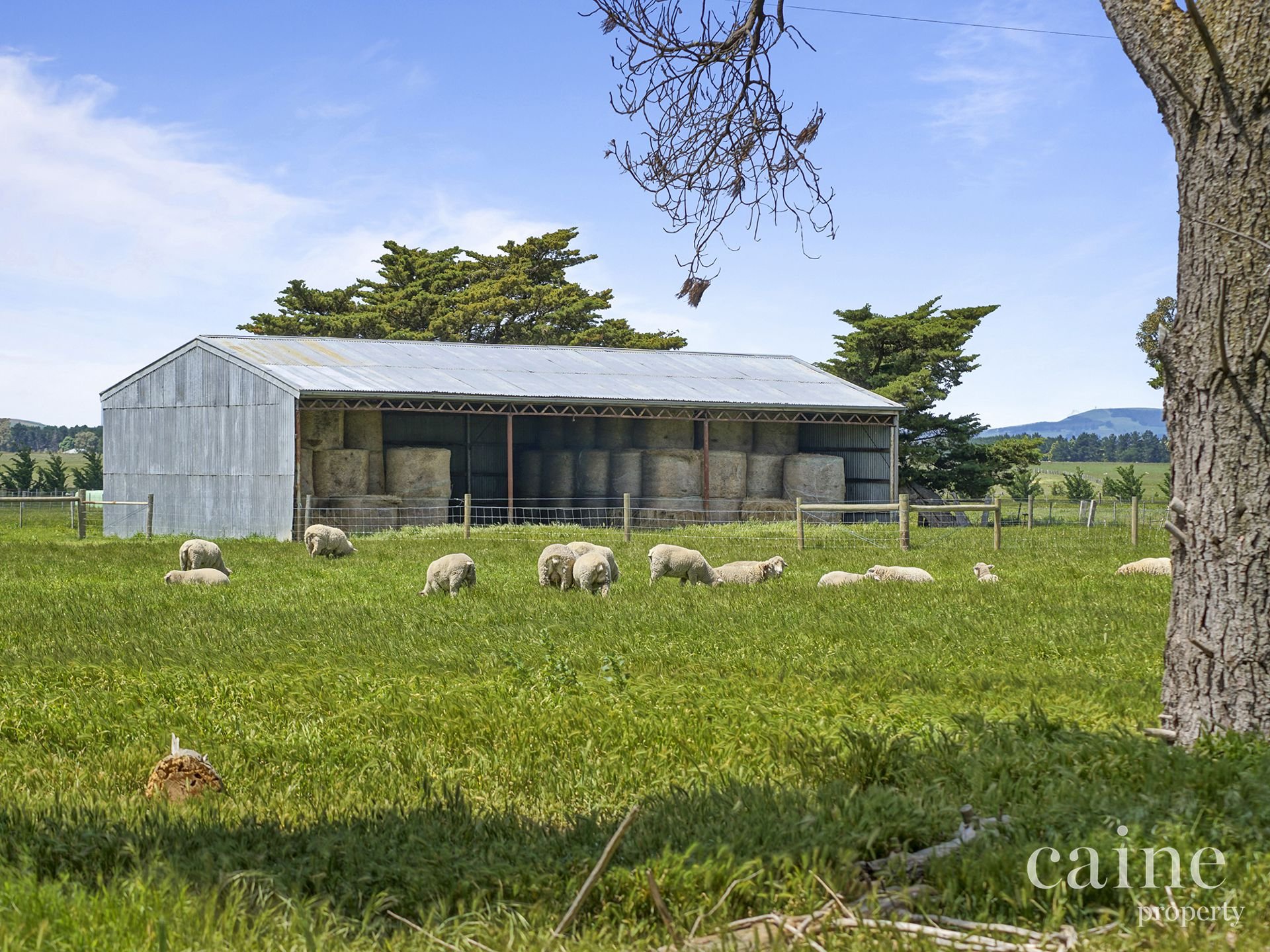265 Creswick Road, Clunes image 13