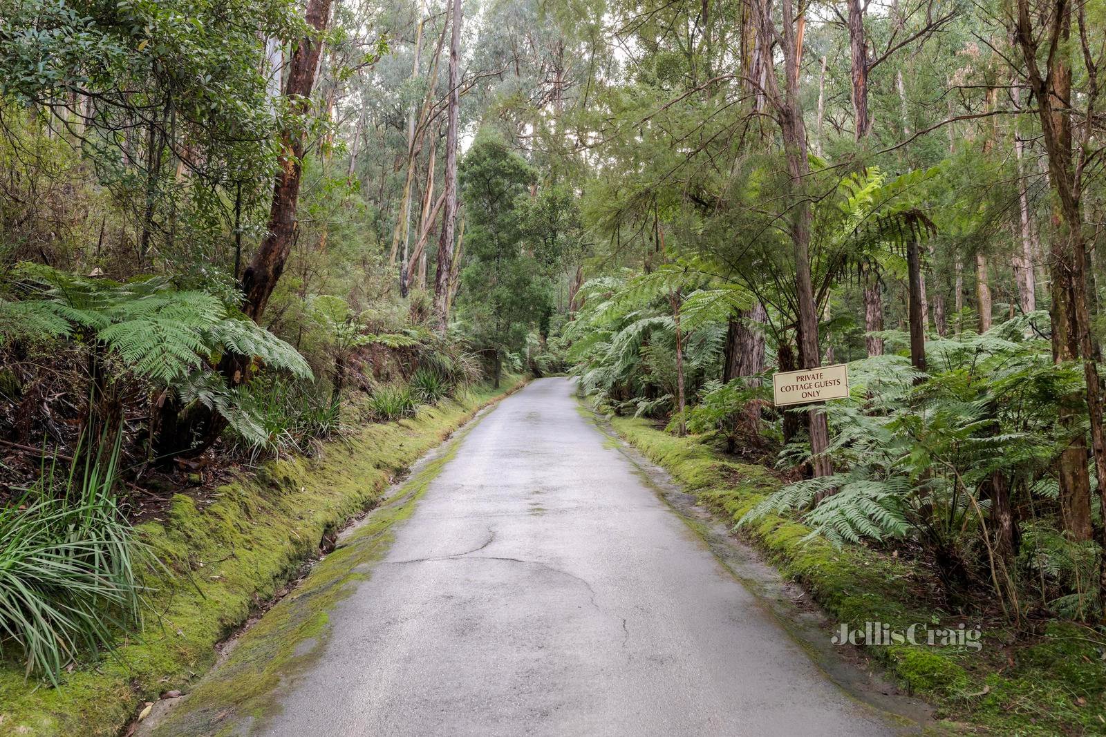 269 Myers Creek Road, Healesville image 25