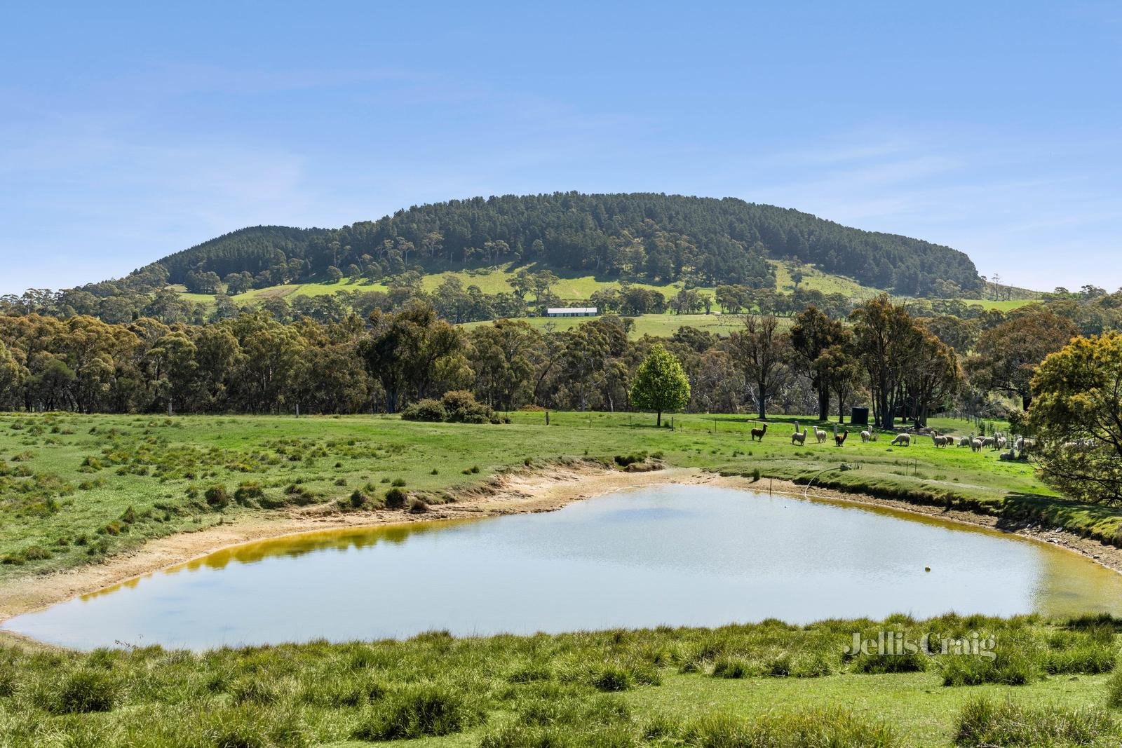 269 Sawpit Gully Road, Mount Franklin image 15