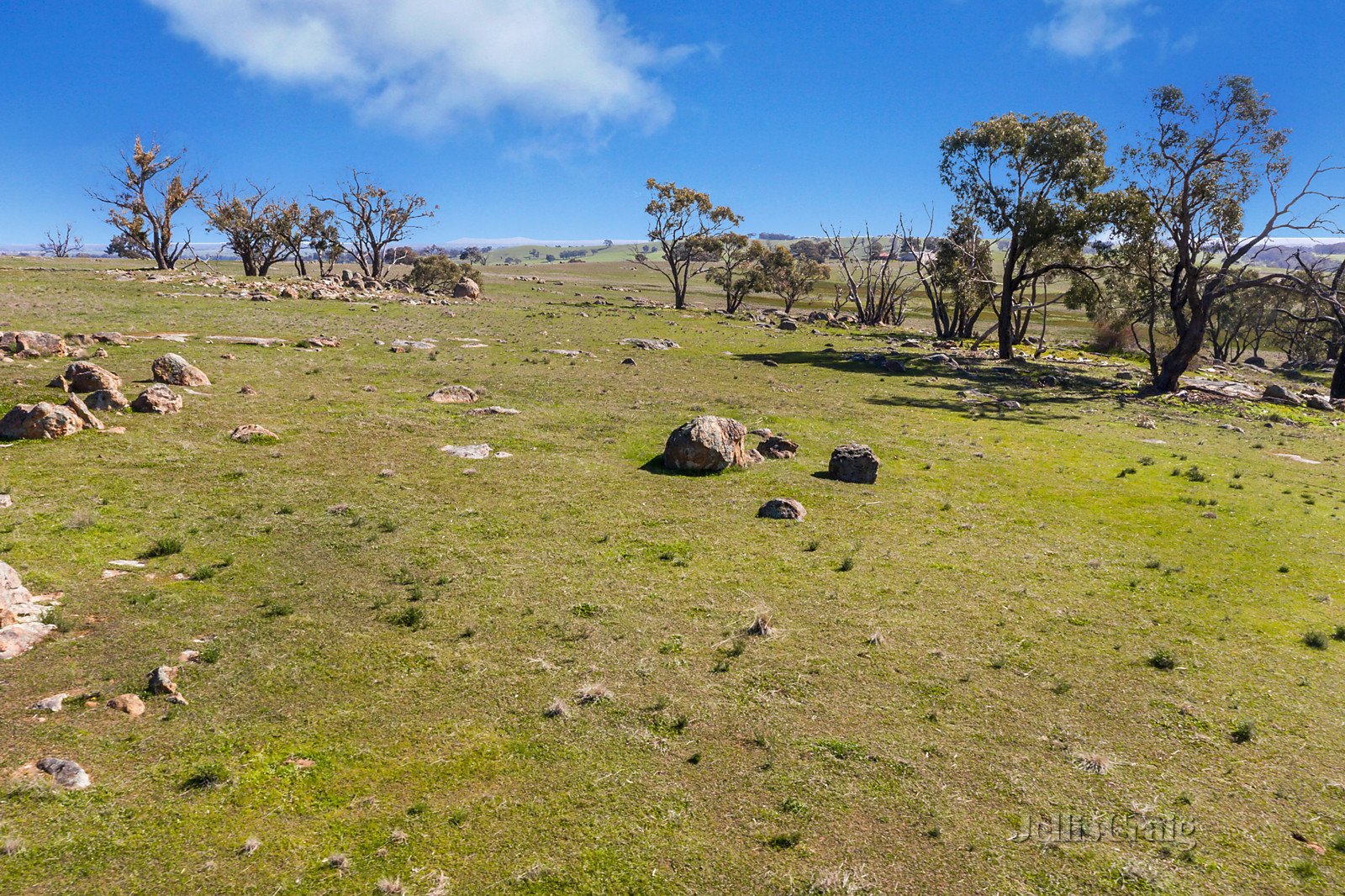 2/697 Bridgewater Maldon Road, Baringhup image 2