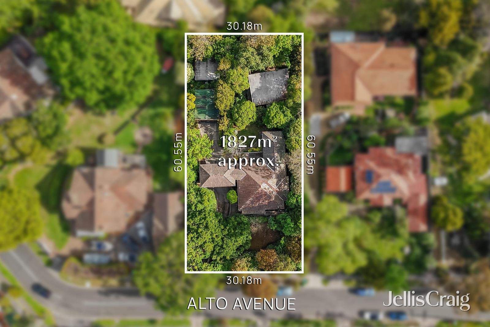 27 Alto Avenue, Croydon image 2