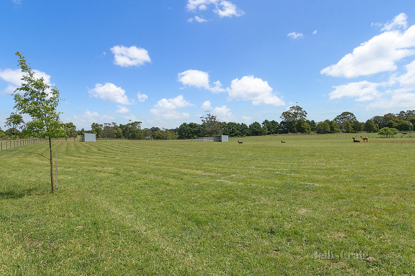 27 Bergs Lane, North Blackwood image 10