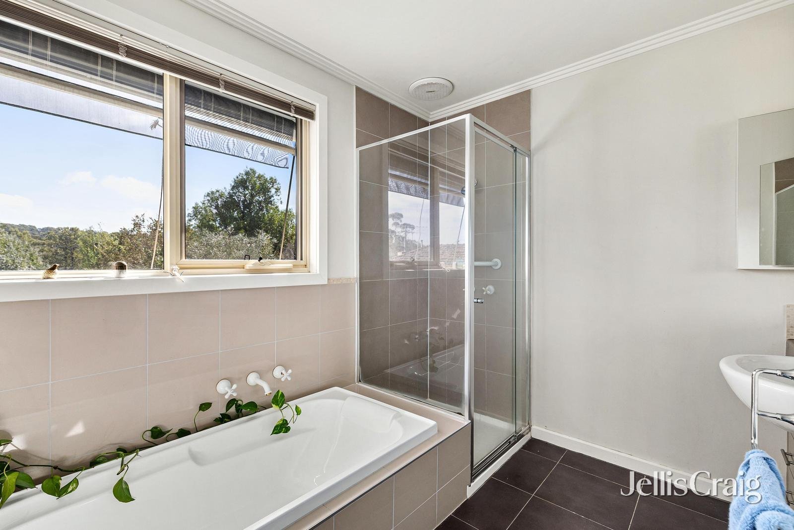 2/7 Cecil Street, Eltham image 2