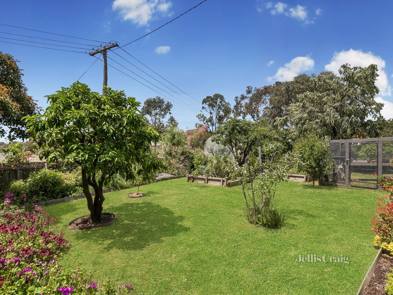 27 Franklin Street, Maldon image 9