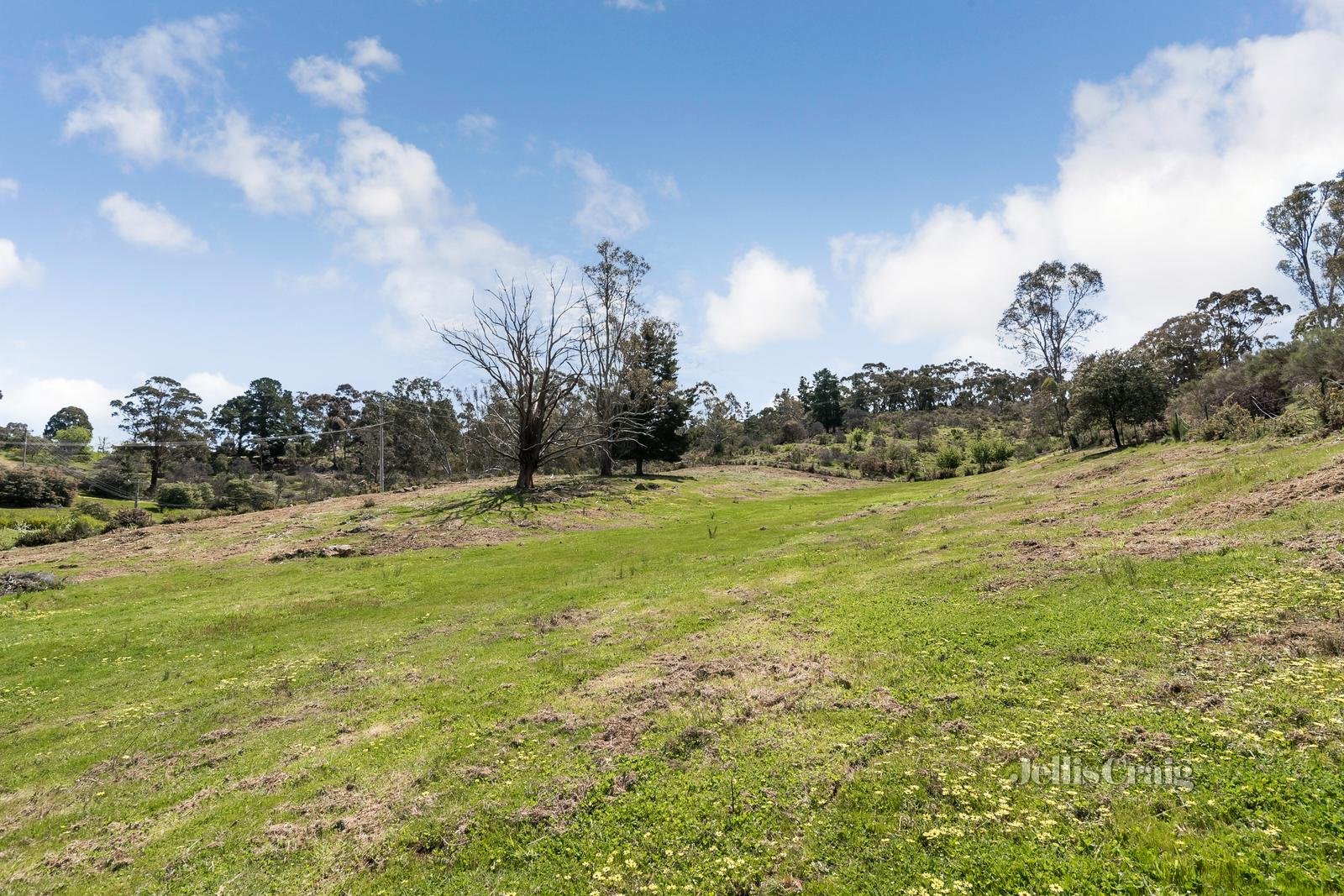 27 Happy Valley Road, Castlemaine image 2
