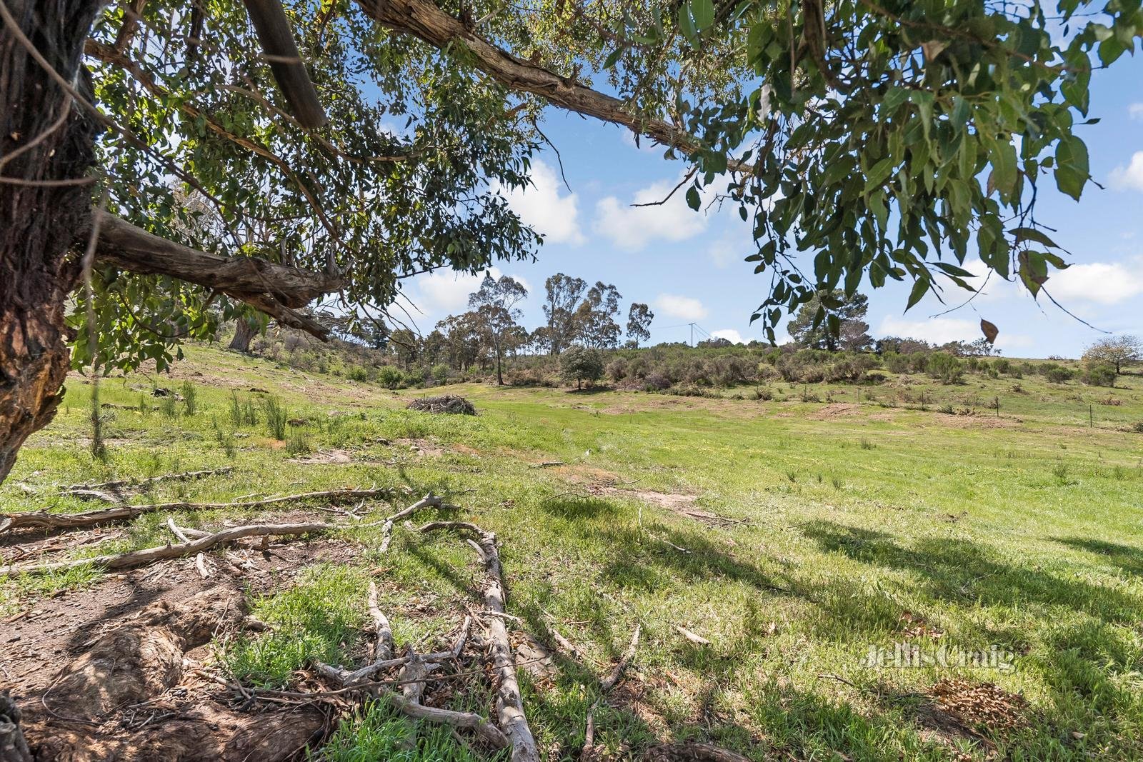 27 Happy Valley Road, Castlemaine image 5