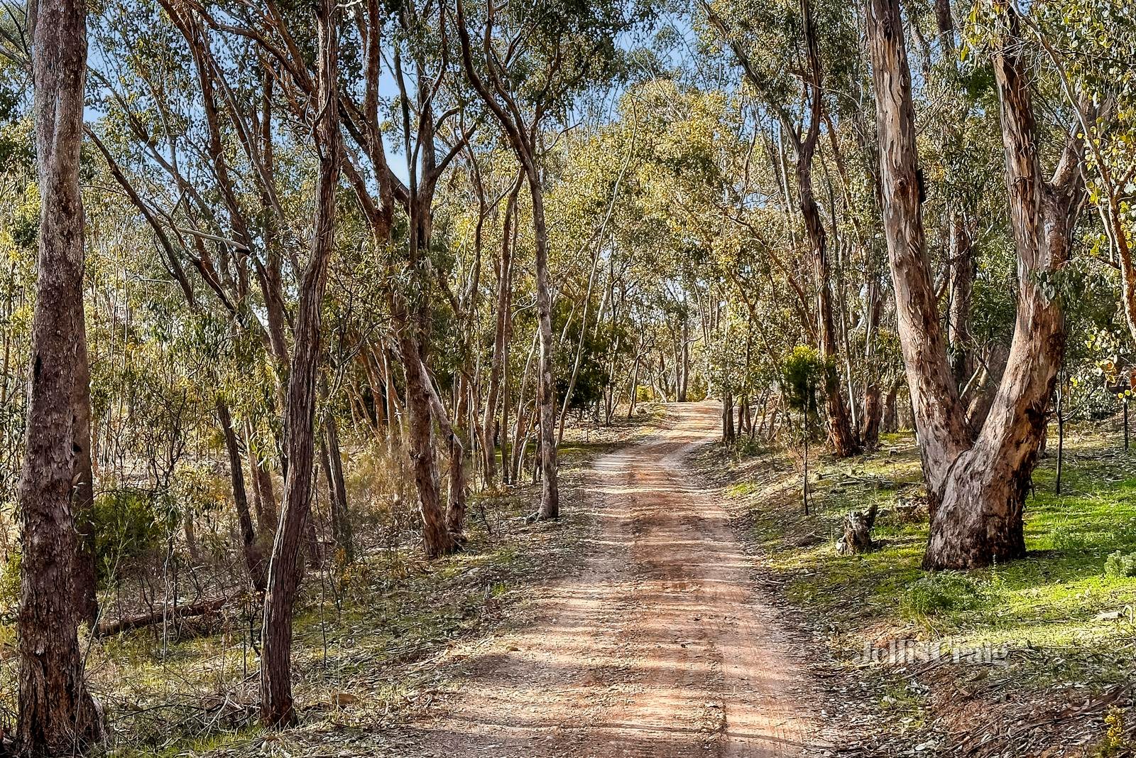 27 Hoopers Road, Chewton image 15