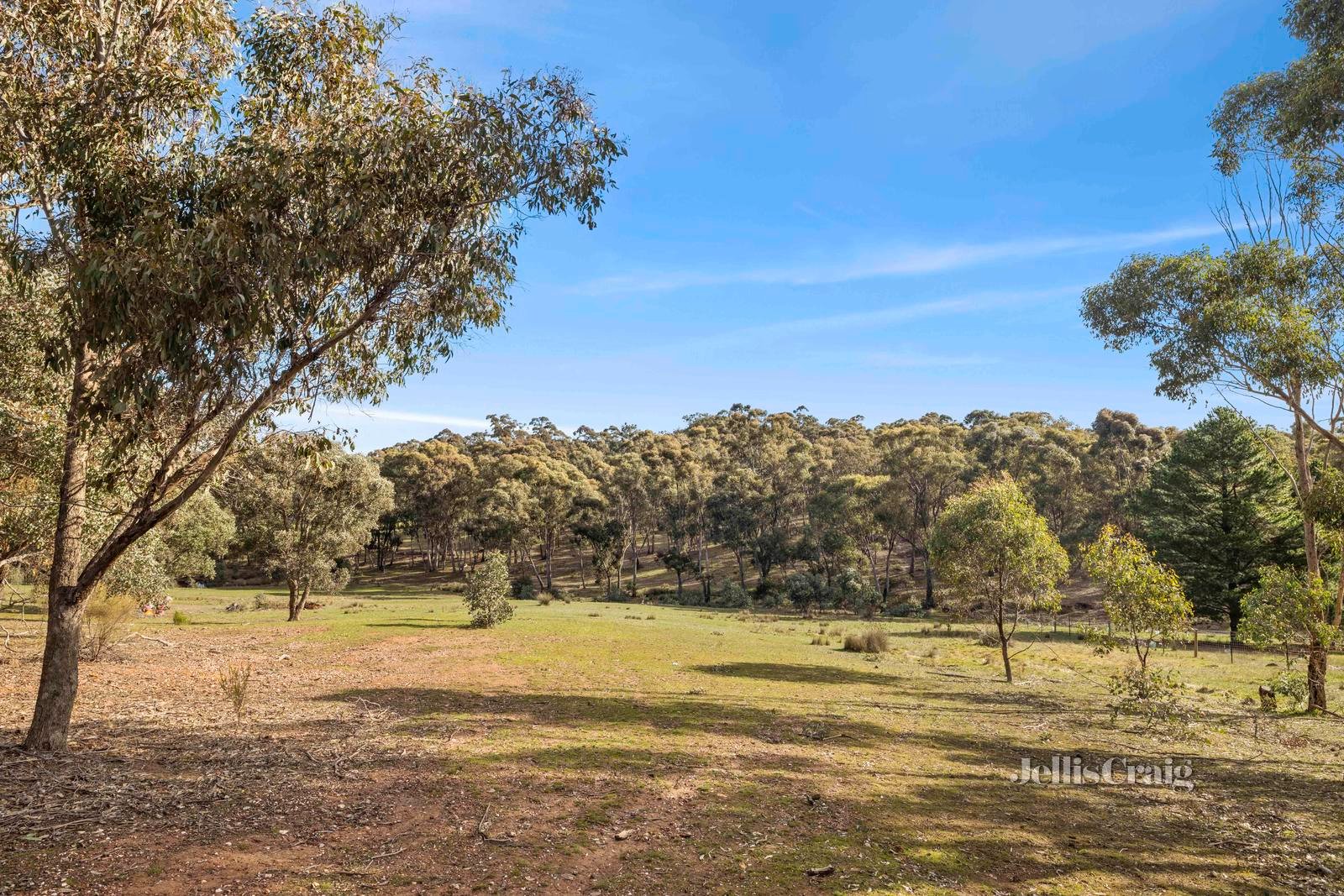 27 Lemon Street, Campbells Creek image 3