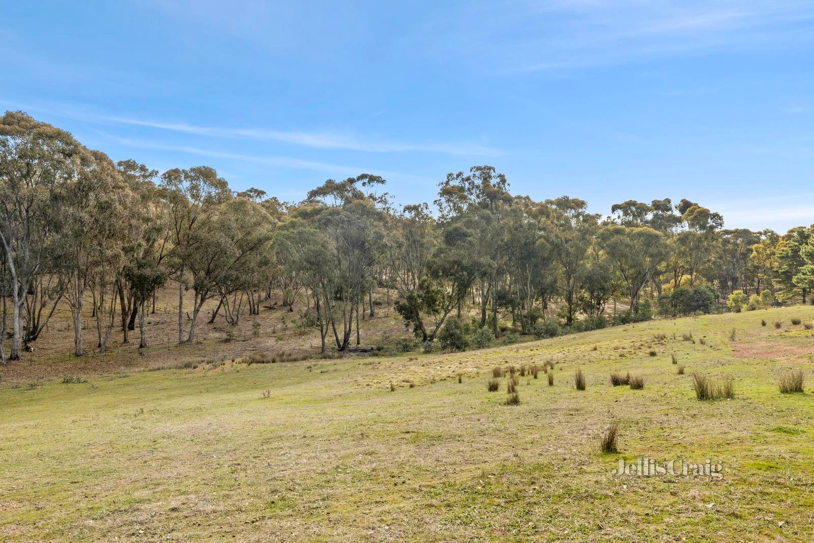 27 Lemon Street, Campbells Creek image 7