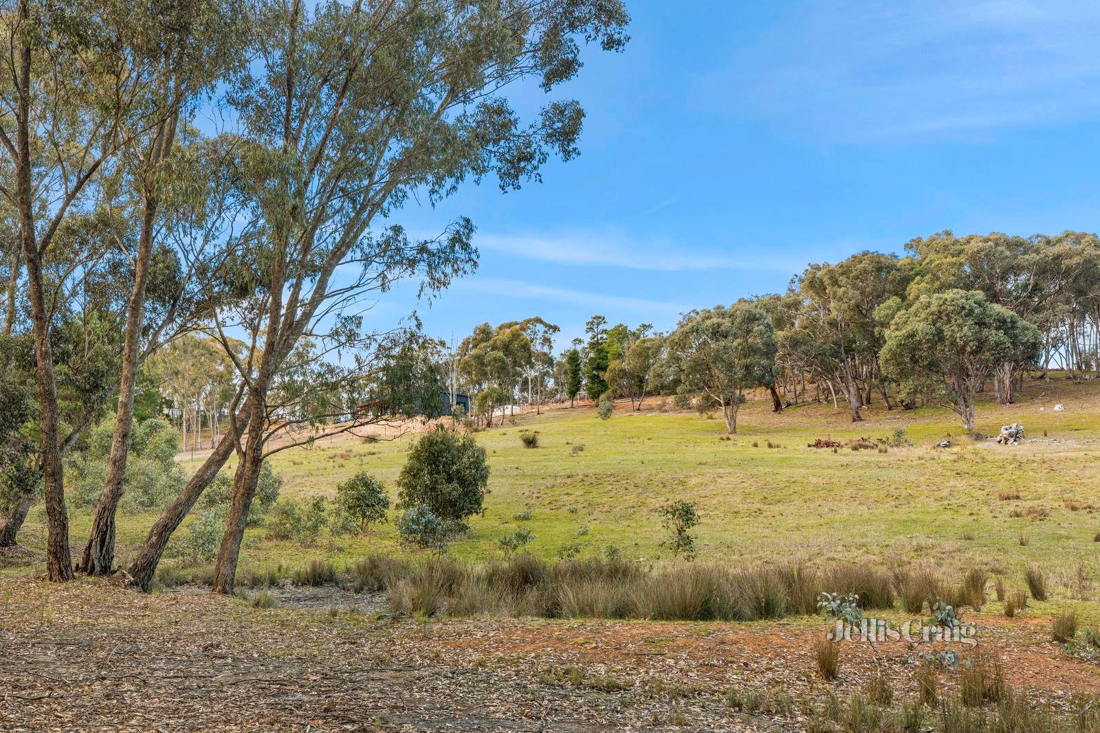 27 Lemon Street, Campbells Creek image 8