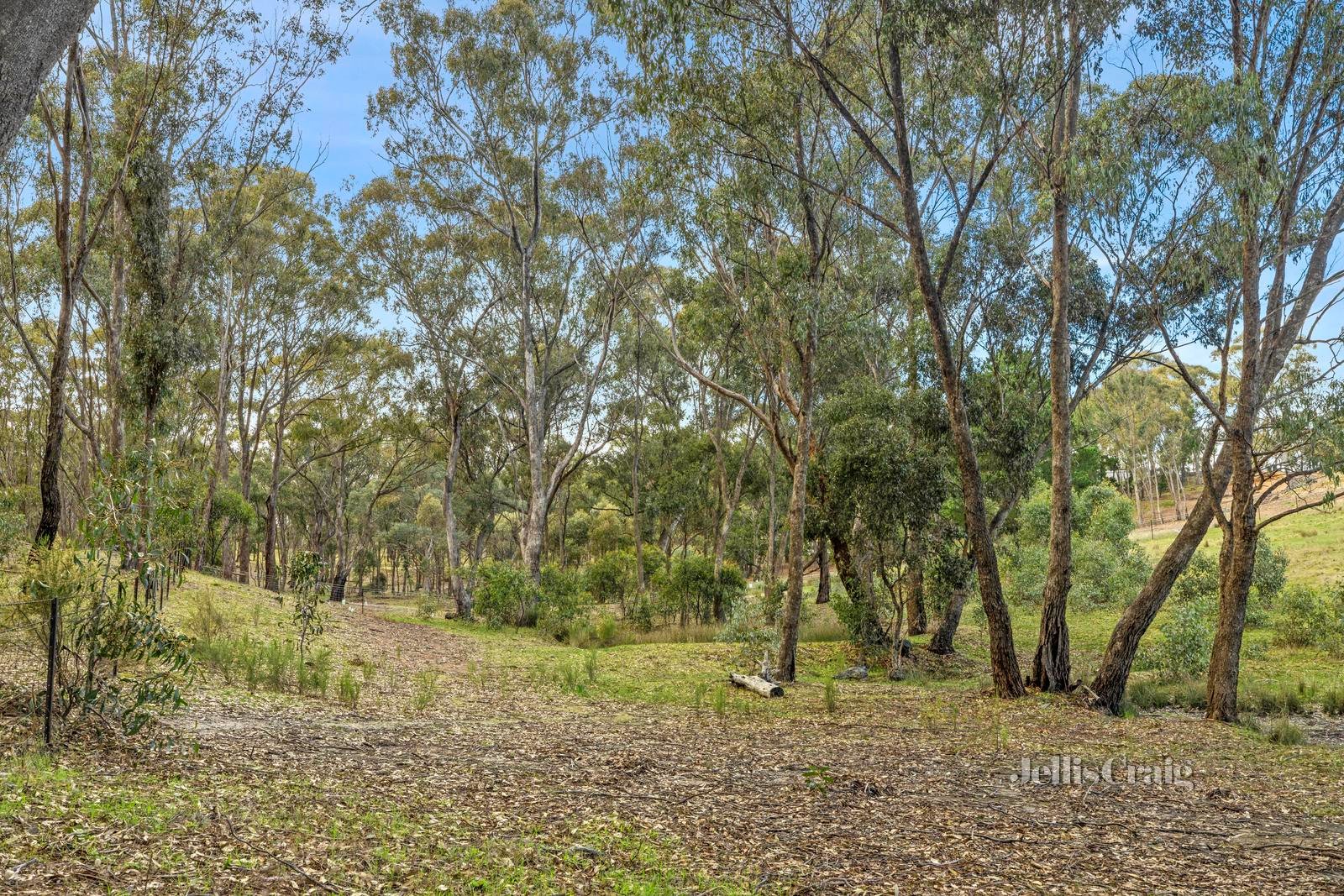 27 Lemon Street, Campbells Creek image 9