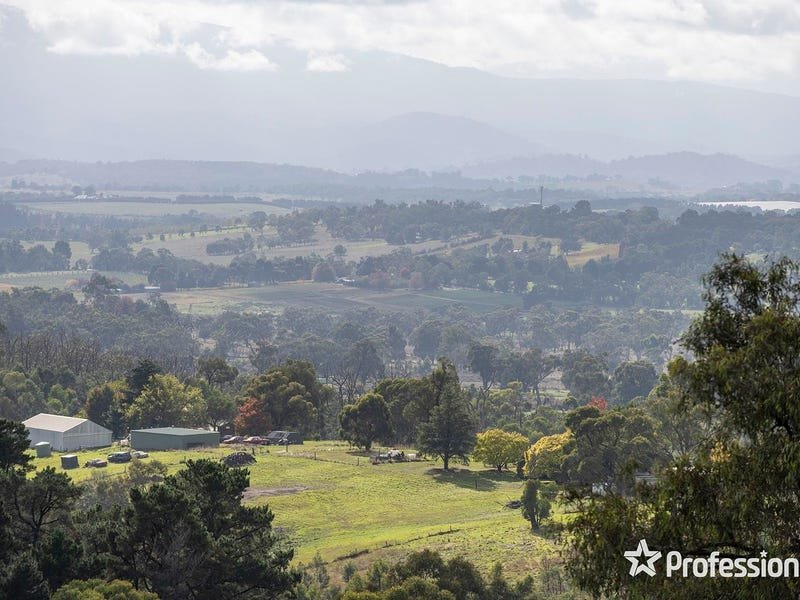 27 Lily Road, Lilydale image 23