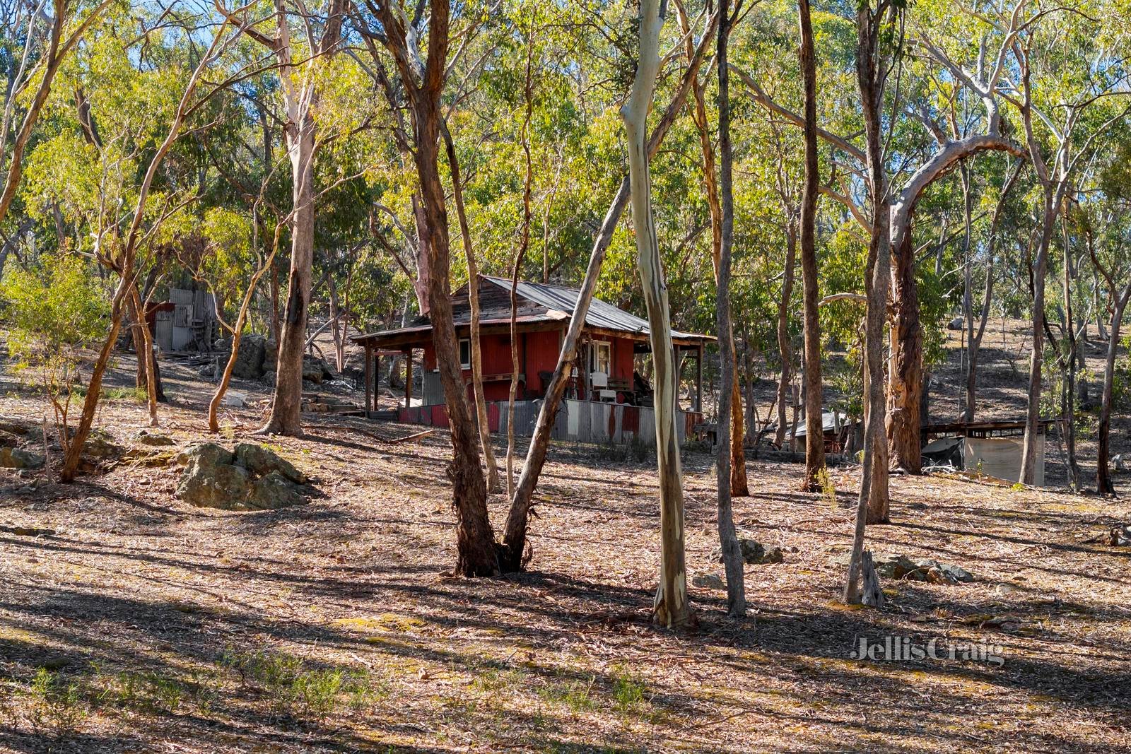 27 Palmerston Street, Newstead image 1