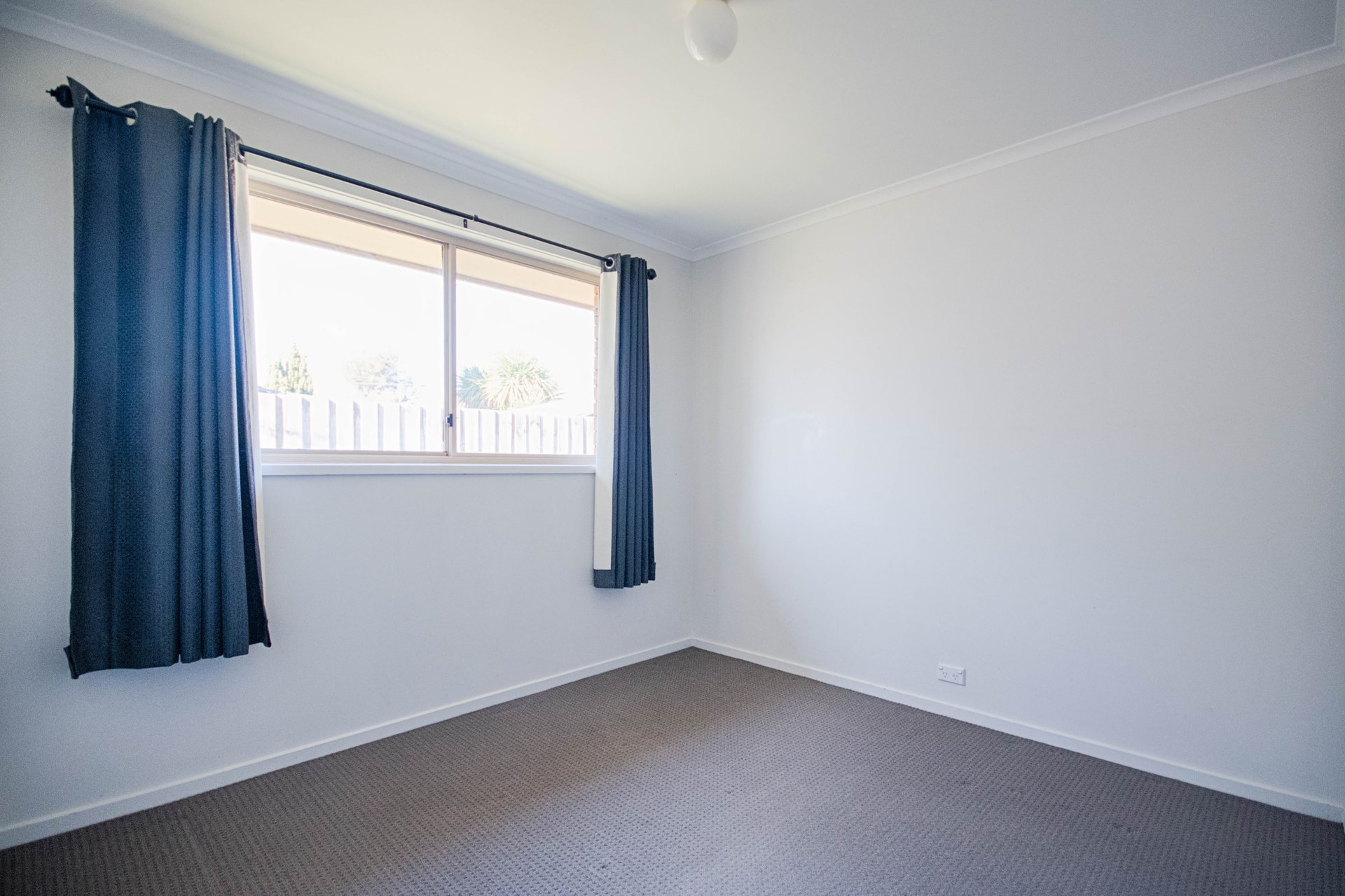 2/7 Patrick Street, Whittington image 6
