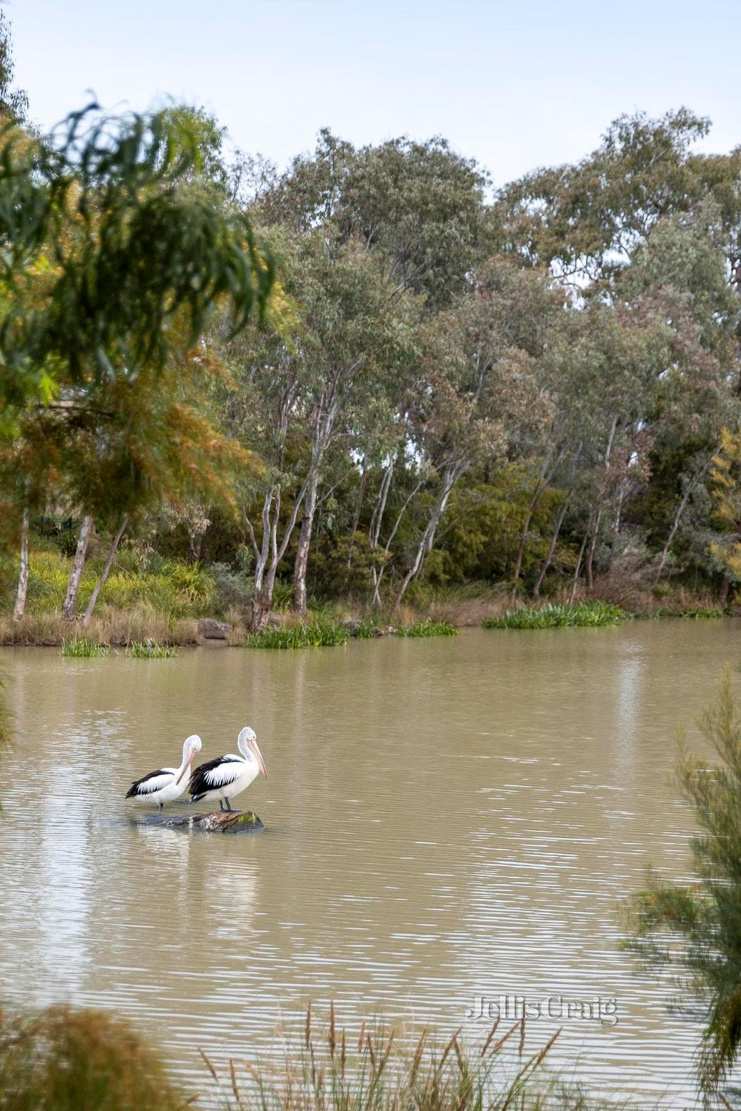 27 Shearwater Place, Mernda image 24