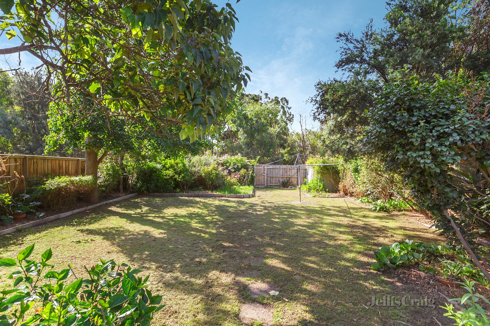 27 Thurso Street, Malvern East image 7