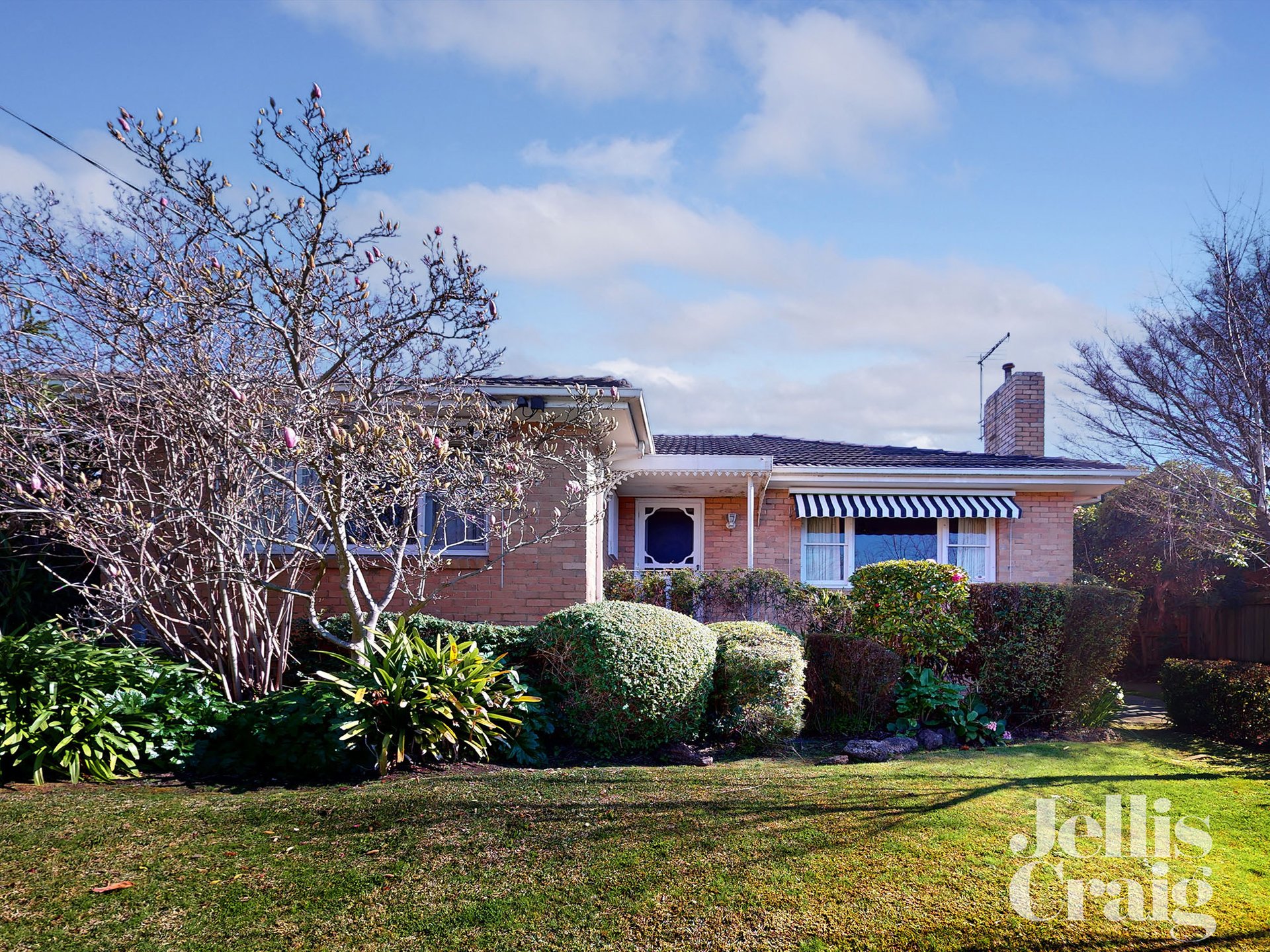 27 Vivianne Avenue, Mont&nbsp;Albert&nbsp;North image 1