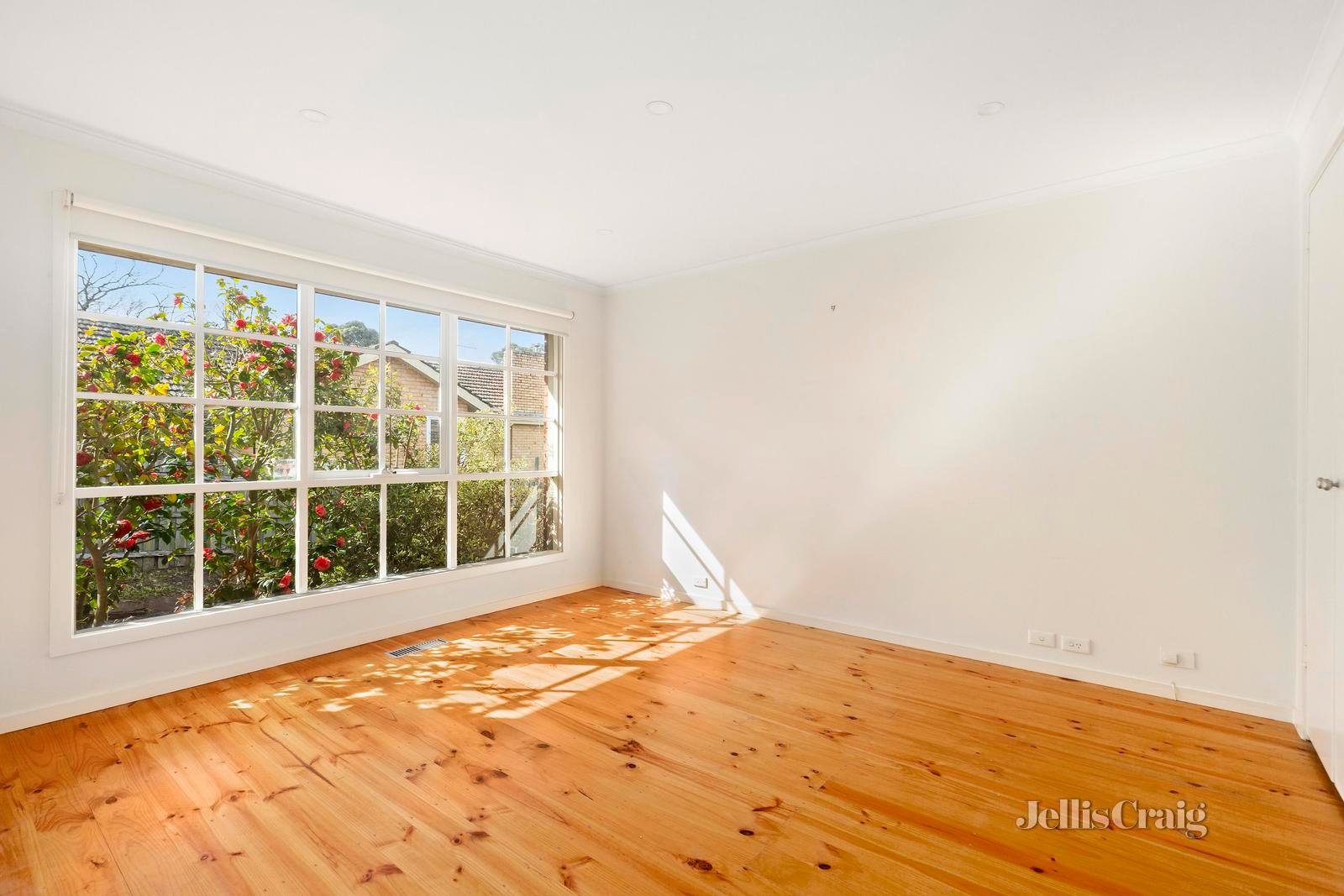 2/72 Essex Road, Surrey Hills image 6