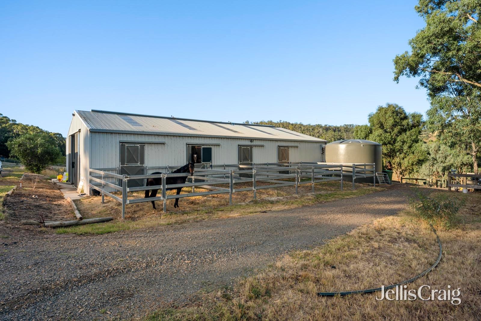 272 Steels Creek Road, Yarra&nbsp;Glen image 12