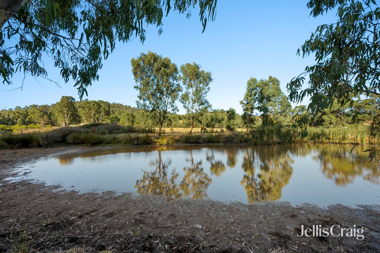 272 Steels Creek Road, Yarra&nbsp;Glen image 25