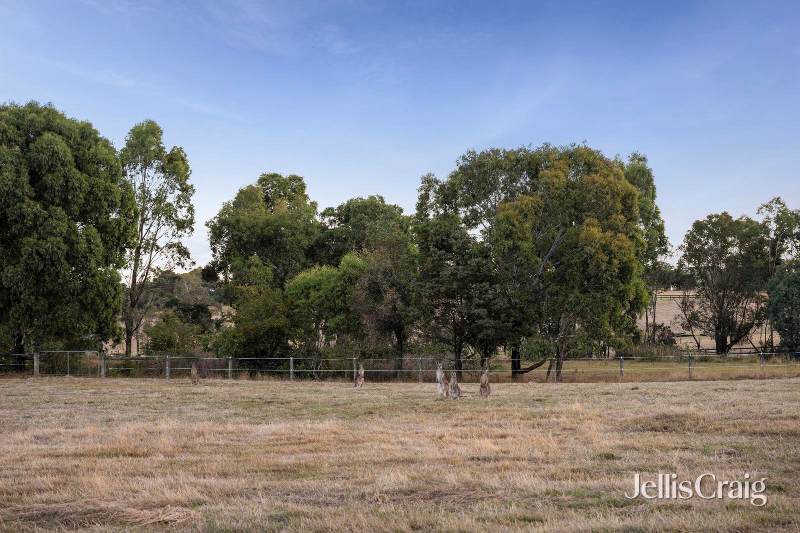272 Steels Creek Road, Yarra&nbsp;Glen image 29