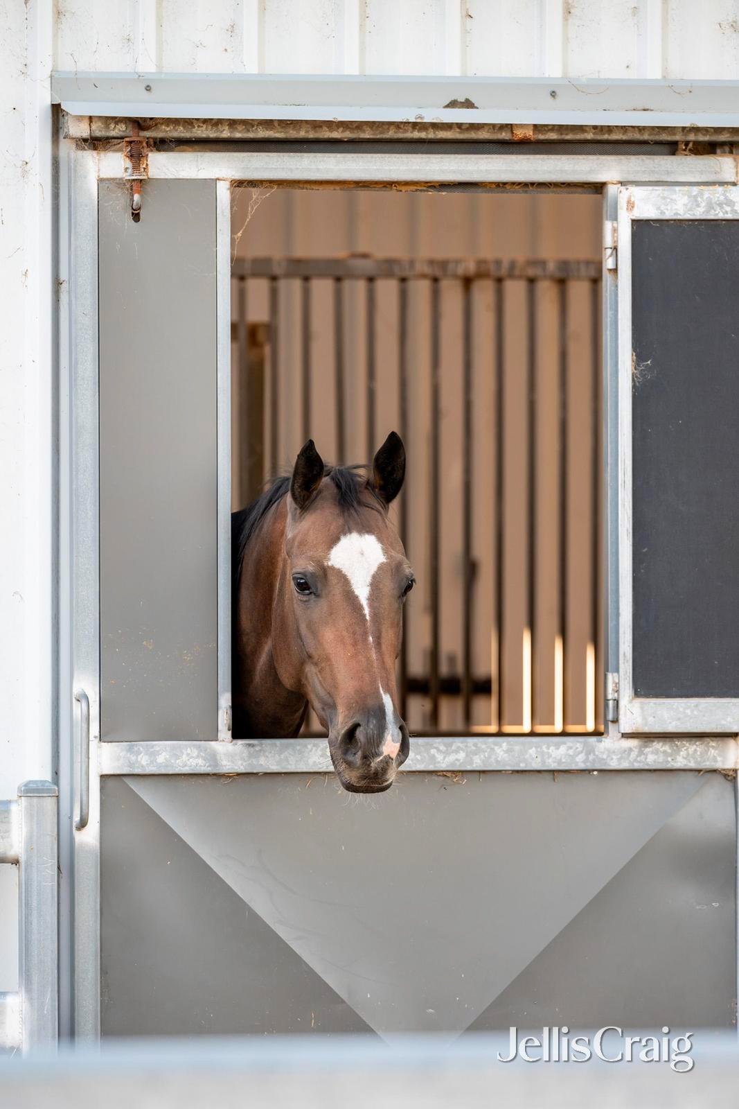 272 Steels Creek Road, Yarra&nbsp;Glen image 32