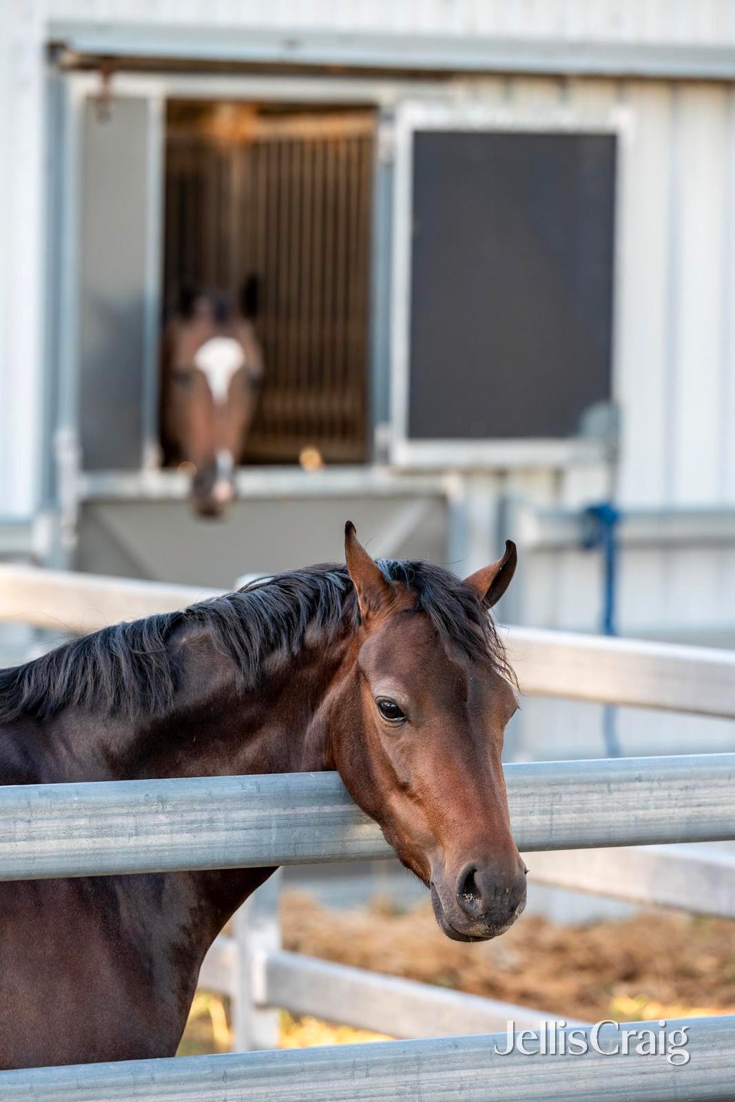 272 Steels Creek Road, Yarra&nbsp;Glen image 33