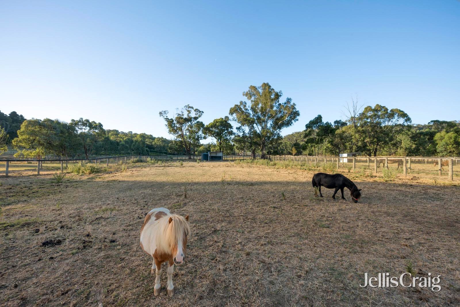 272 Steels Creek Road, Yarra&nbsp;Glen image 34