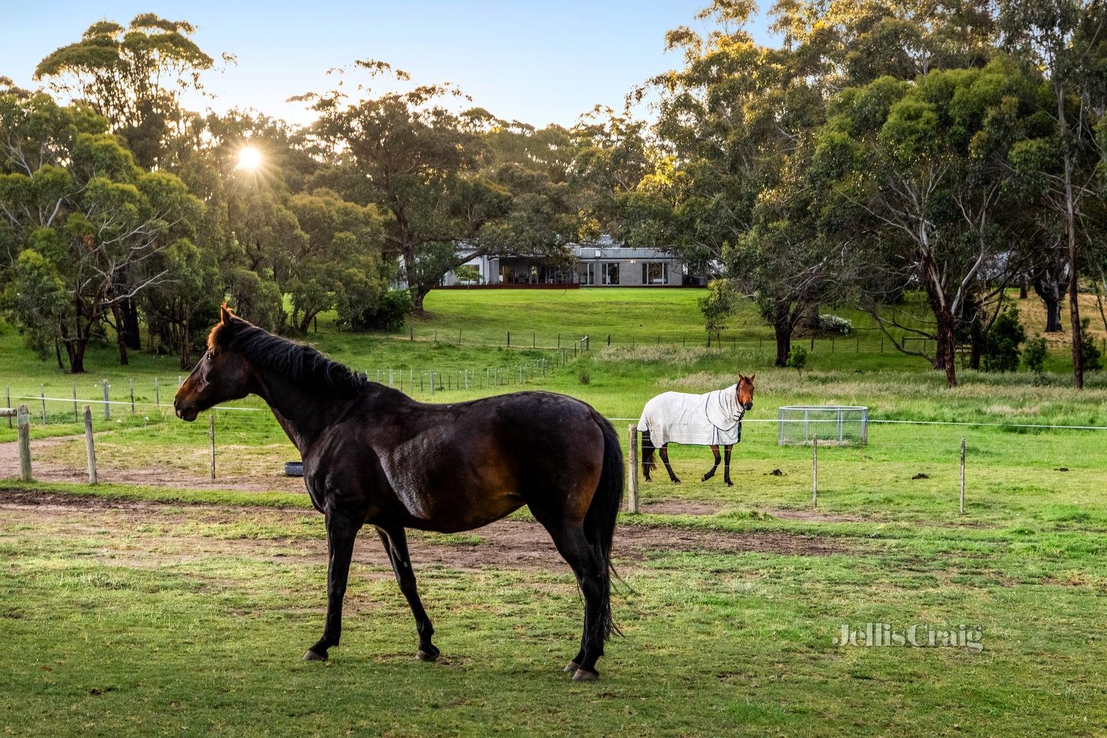 274 Harbours Road, Yendon image 24