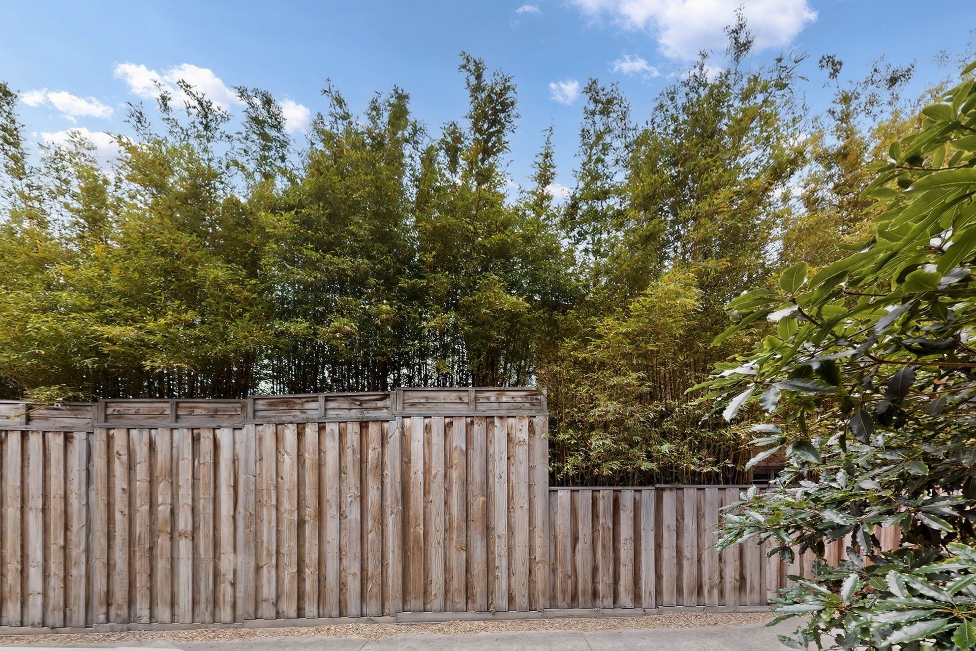 2/8 Alicia Street, Hampton image 15