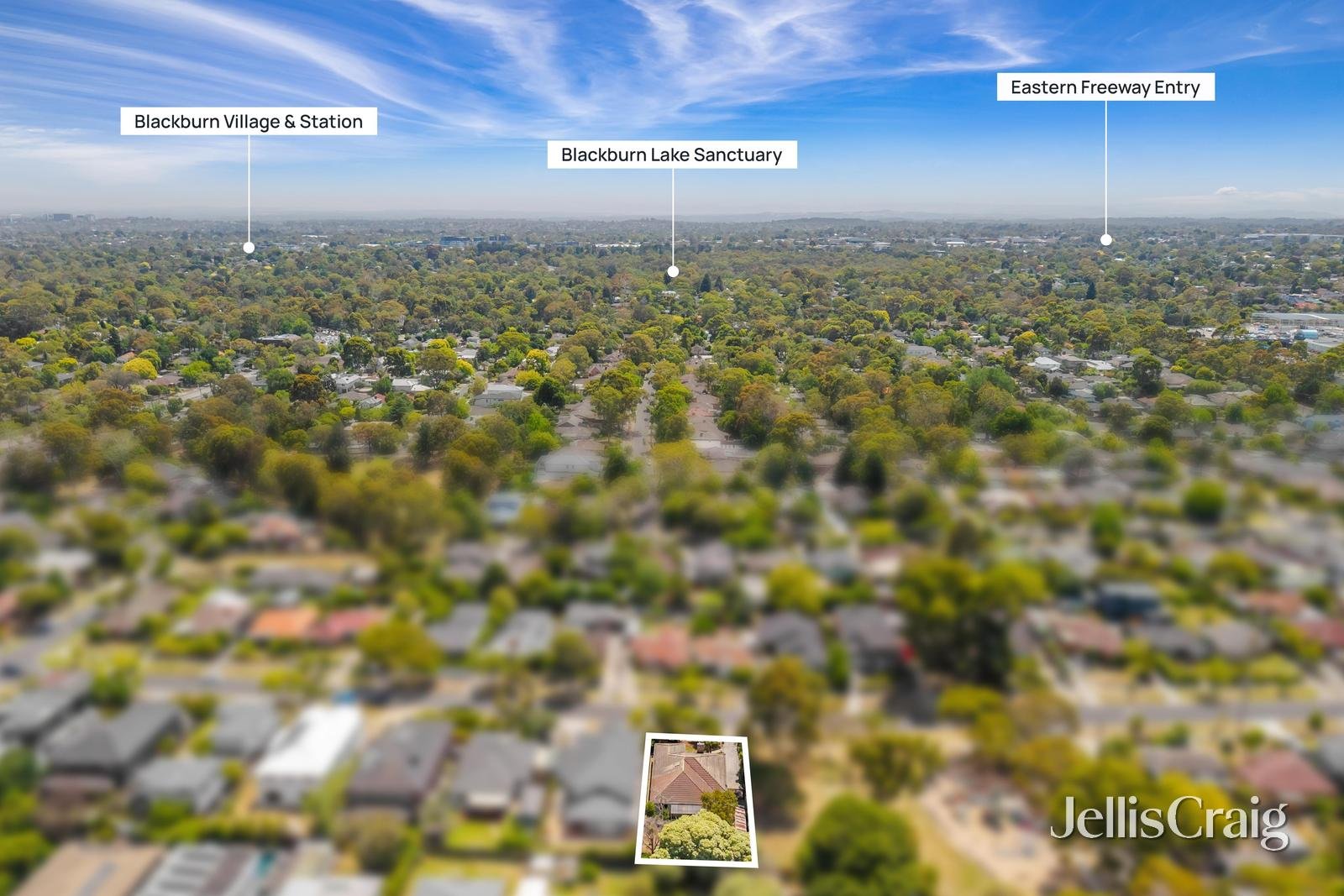 28 Faulkner Street, Blackburn&nbsp;South image 16