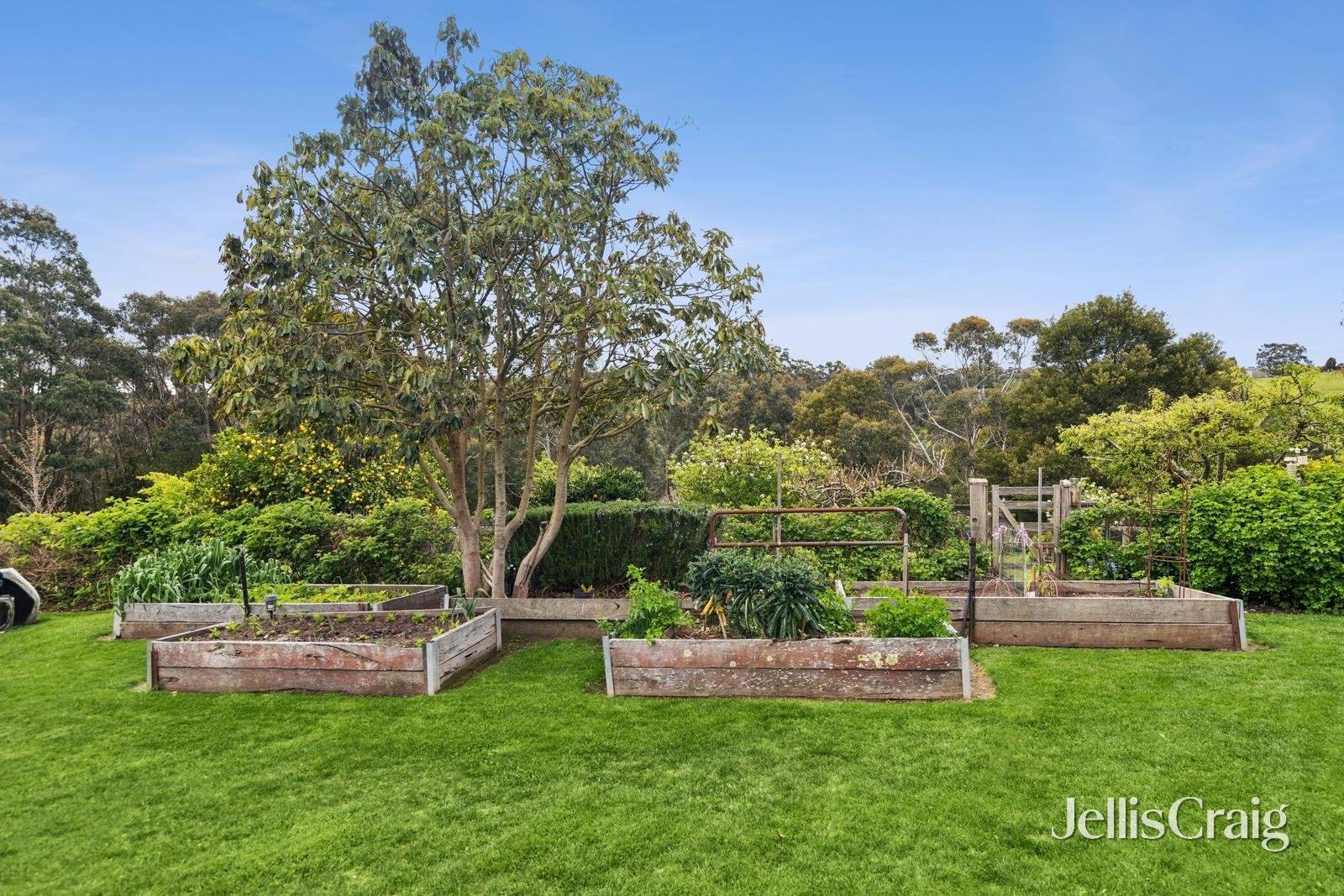 28 Gittings Lane, Buninyong image 15