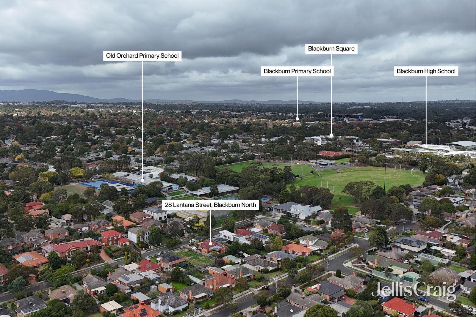 28 Lantana Street, Blackburn&nbsp;North image 17