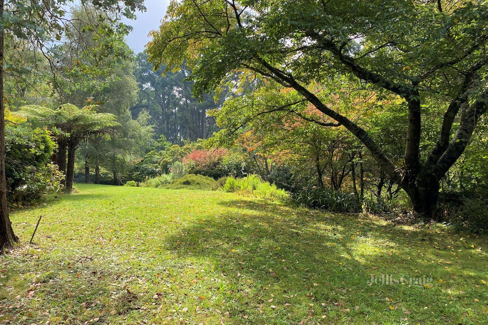 28 Mountains Road, Cherokee image 2