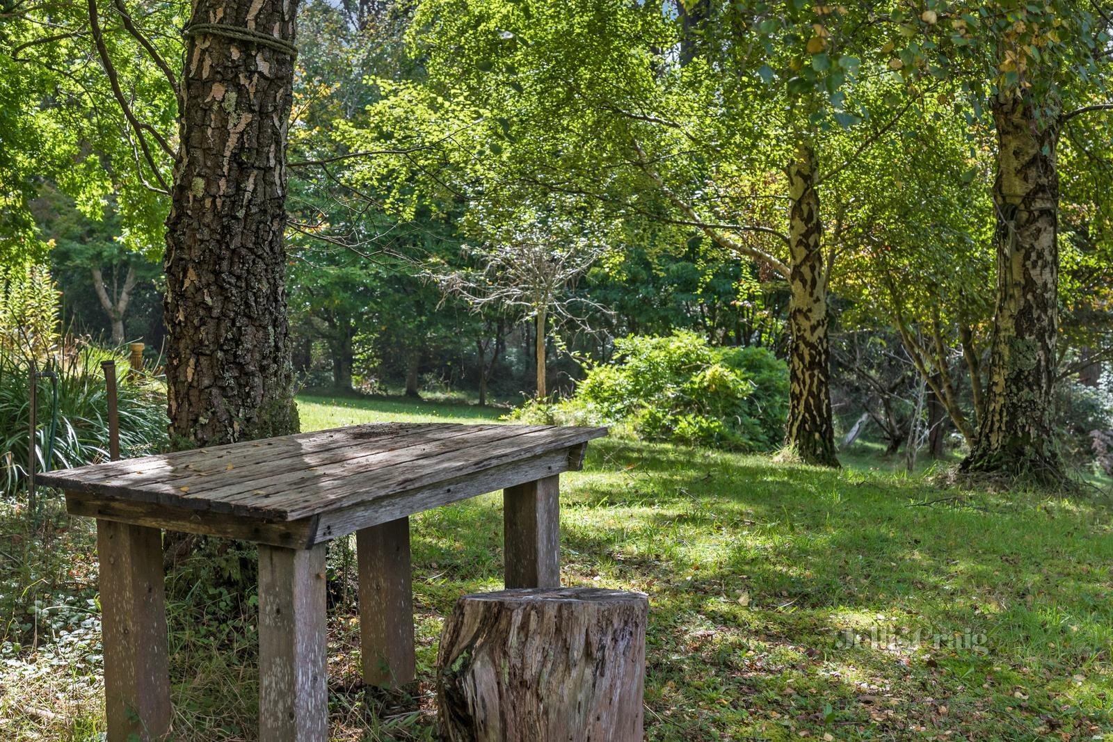 28 Mountains Road, Cherokee image 6