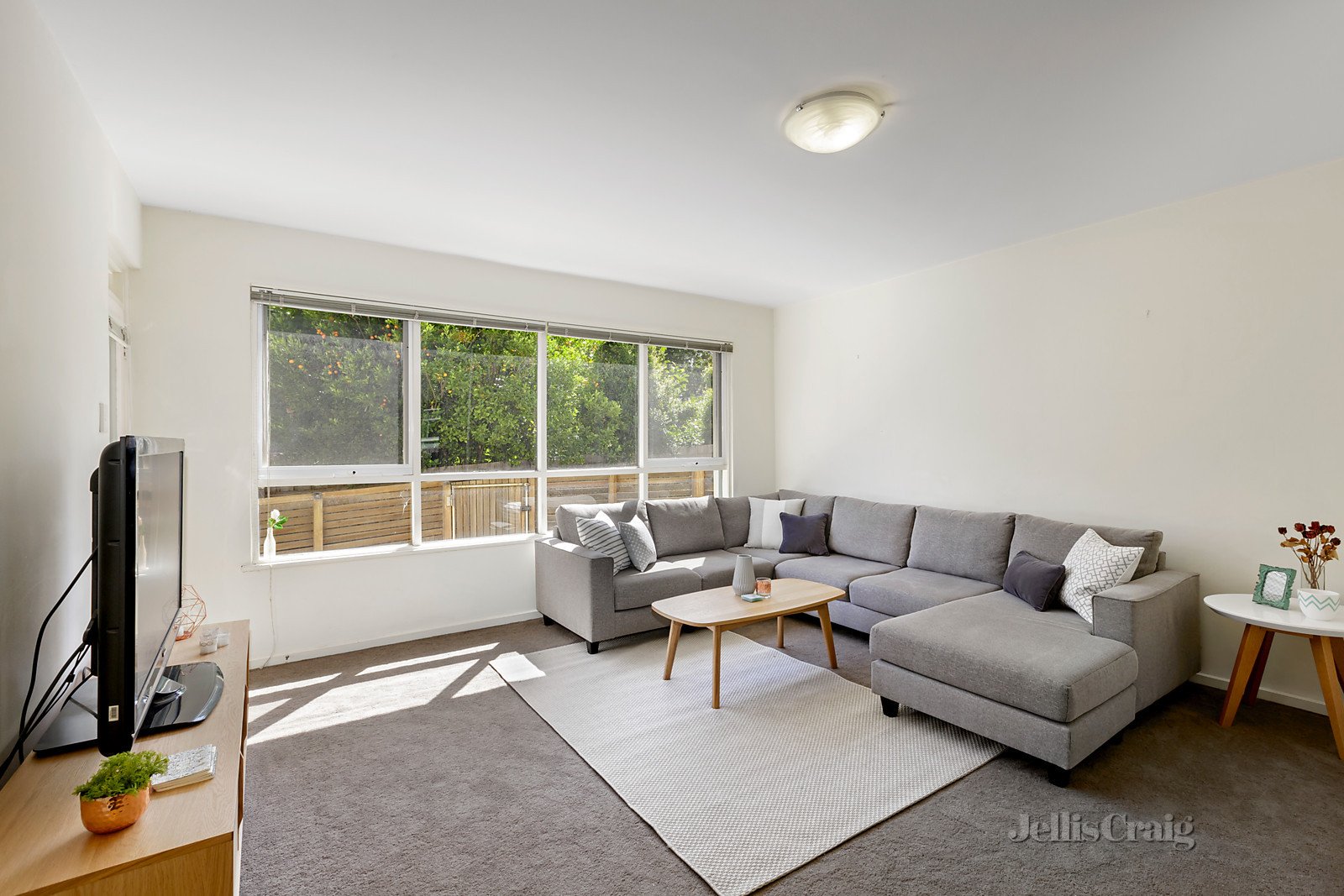 2/8 Osborne Avenue, Glen Iris image 3